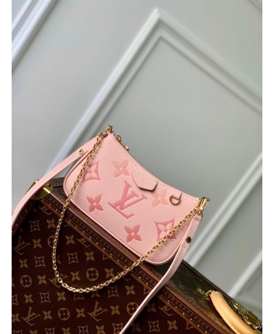 LOUIS VUITTON Easy Pouch