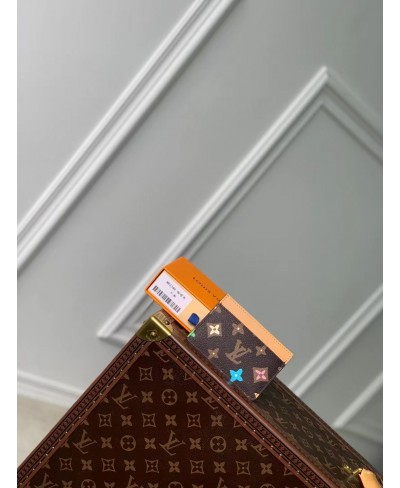 LOUIS VUITTON Card Holder