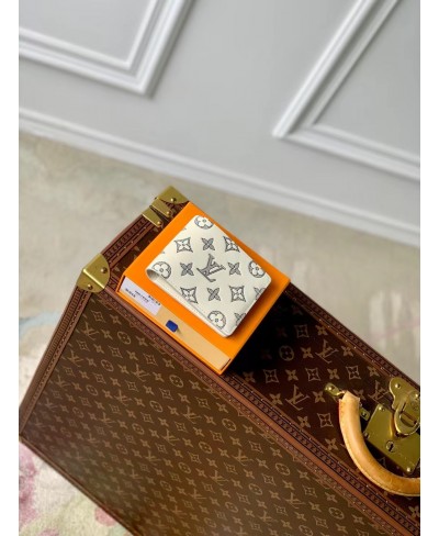 LOUIS VUITTON Multiple Wallet