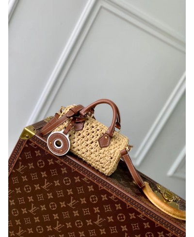 LOUIS VUITTON Nano Speedy