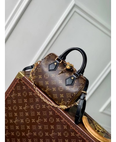 LOUIS VUITTON Speedy Trunk 20