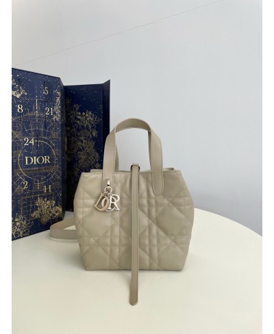 CHRISTIAN DIOR Small Dior Toujours Vertical Tote Bag